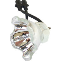 INFOCUS C445 Lampa bez modułu