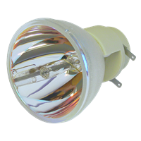 OPTOMA BL-FP195A (SP.78H01GC01) Lampa bez modułu