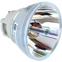 OPTOMA BL-FU200D (SP.7D101GC01) Lampa bez modułu