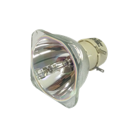 OPTOMA BL-FU260C (SP.72Y01GC01) Lampa bez modułu